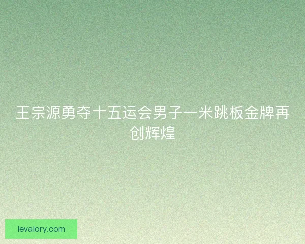 王宗源勇夺十五运会男子一米跳板金牌再创辉煌