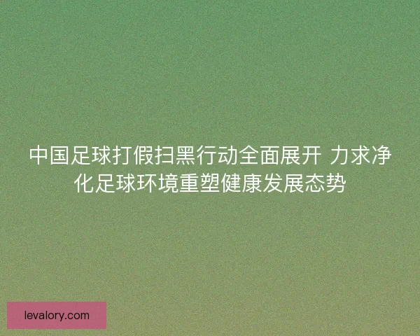 中国足球打假扫黑行动全面展开 力求净化足球环境重塑健康发展态势