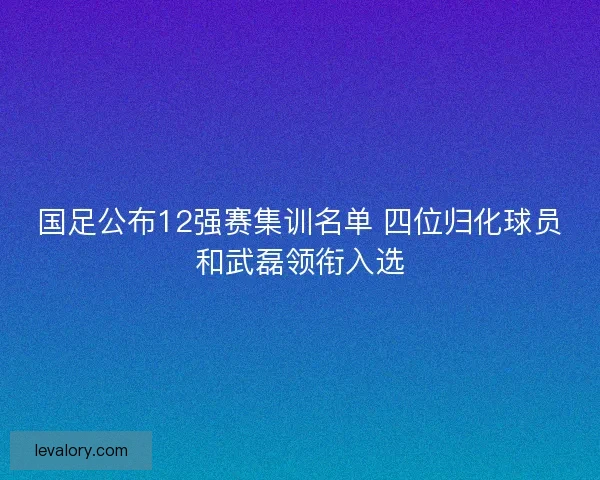 国足公布12强赛集训名单 四位归化球员和武磊领衔入选